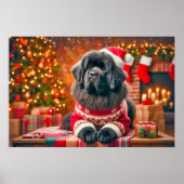 Poster of Newf Posing for Annual Portrait (Voorkant)