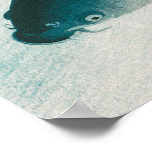 POSTER : OHARA KOSON : CARP/KOI 1926 (Hoek)