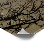 Poster Ojiig Ojibwe constellatie (Hoek)