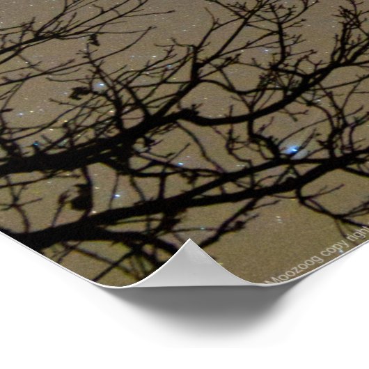 Poster Ojiig Ojibwe constellatie (Hoek)