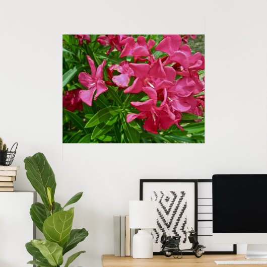 Poster Oleander (Nerium oleander) Blossom (Thuiskantoor)