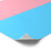 Poster onder transgendervlag (Hoek)