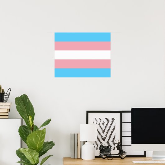 Poster onder transgendervlag (Thuiskantoor)
