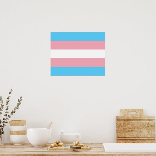 Poster onder transgendervlag (Keuken)