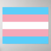 Poster onder transgendervlag (Voorkant)