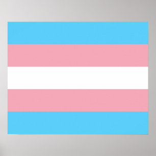Poster onder transgendervlag