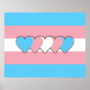 Poster onder transgendervlag
