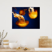 Poster onderwater ballet (Keuken)