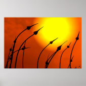 Poster Ontwerp van de natuur (Voorkant)