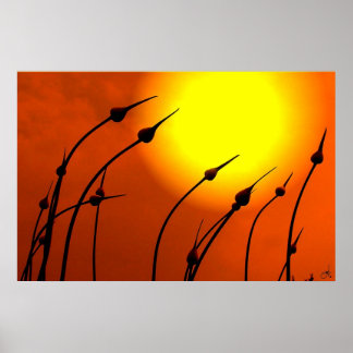 Poster Ontwerp van de natuur