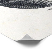 Poster  oogillustratie (Hoek)