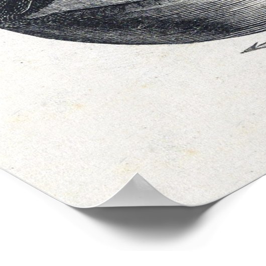 Poster oogillustratie (Hoek)