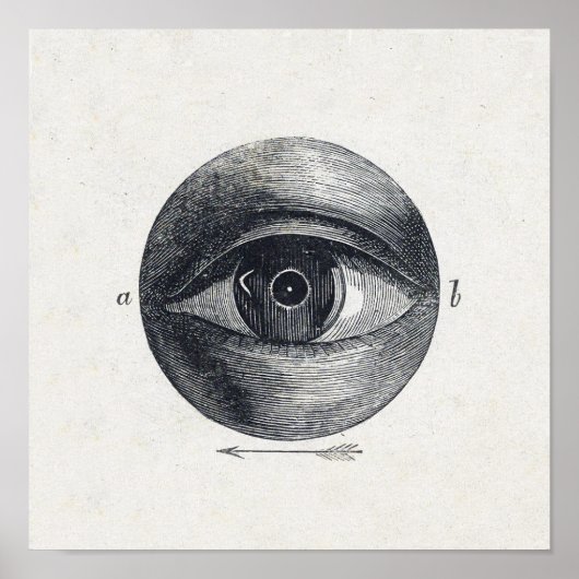 Poster  oogillustratie (Voorkant)