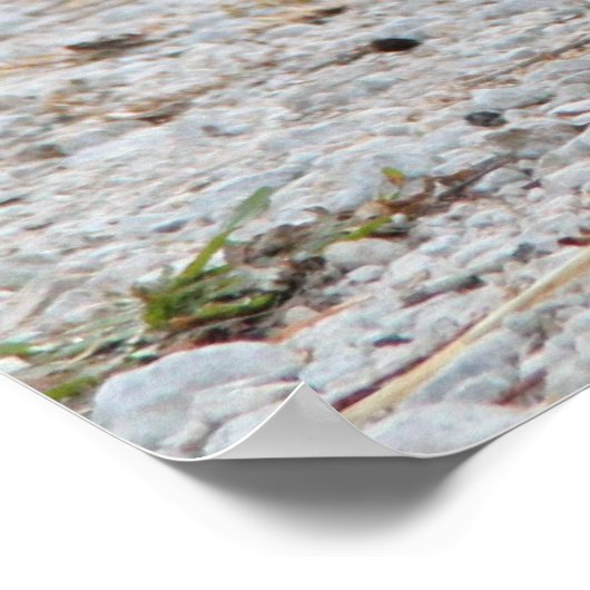 Poster oplaadkippen (Hoek)