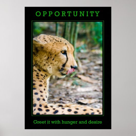 Poster opportuniteit (Voorkant)