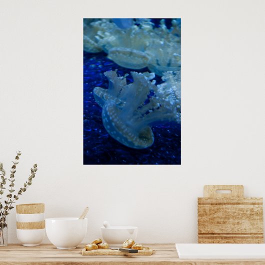 poster "Opside Down Jellyfish" (Keuken)