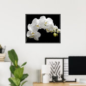 Poster-Orchid Flowers Poster (Thuiskantoor)