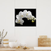 Poster-Orchid Flowers Poster (Keuken)