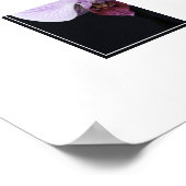 Poster-Orchid Flowers Poster (Hoek)