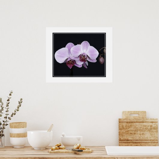 Poster-Orchid Flowers Poster (Keuken)