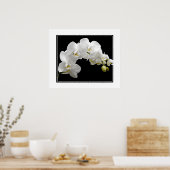 Poster-Orchid Flowers Poster (Keuken)
