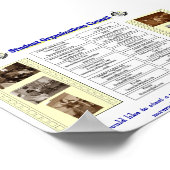 Poster Organisaties (Hoek)