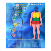 Pôster Os Chakras e suas ligações