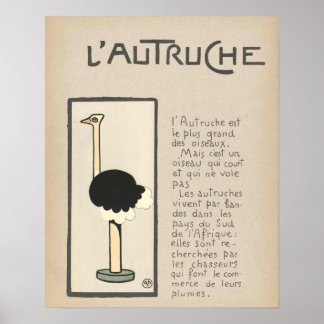 Poster Ostrich