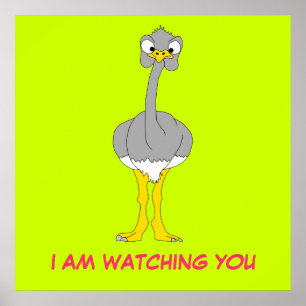 Poster Ostrich