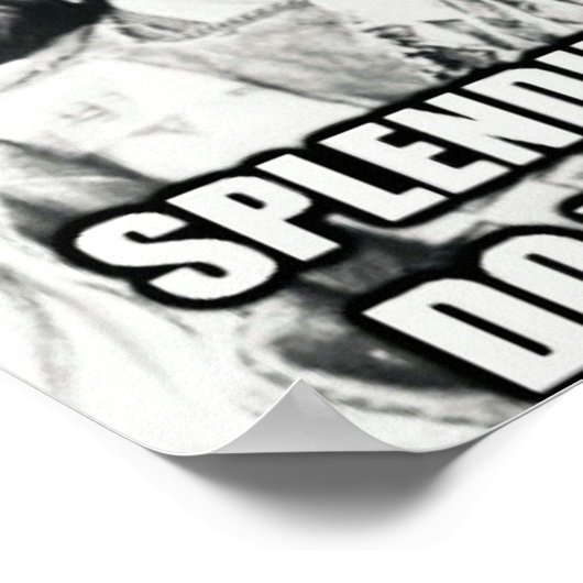 Poster over immigratie (Hoek)