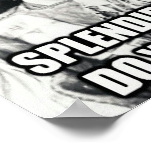 Poster over immigratie (Hoek)