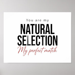 Poster over Natuurlijke Selectie Biologie Wetensch
