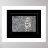 Poster-Owl