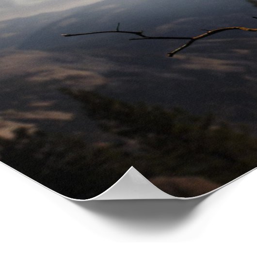 Poster-Owl Poster (Hoek)