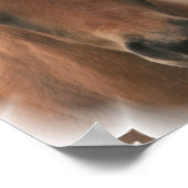 Poster Paarden Baby afdrukken (Hoek)