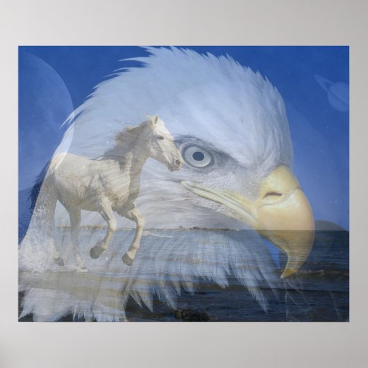 Poster/paarden en Bald Eagle in de ruimte Poster (Voorkant)