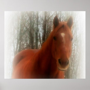 Poster/Paarden in de bossen Poster