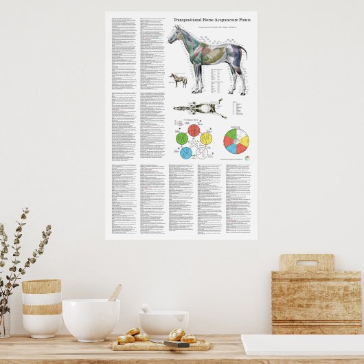 Poster Paardenacupunctiepunt (Keuken)