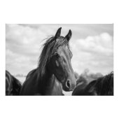 poster paardenkop (Voorkant)