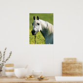 Poster Paardenwerk (Keuken)