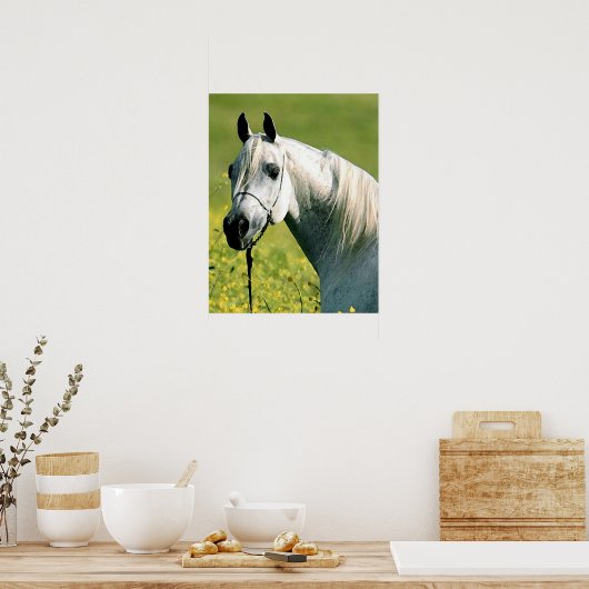 Poster Paardenwerk (Keuken)
