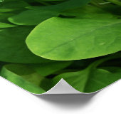 Poster Paars Flowers (Hoek)