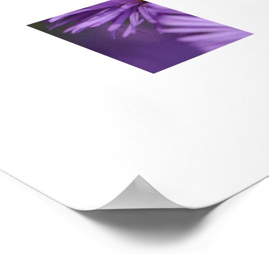 Poster Paars Flowers (Hoek)