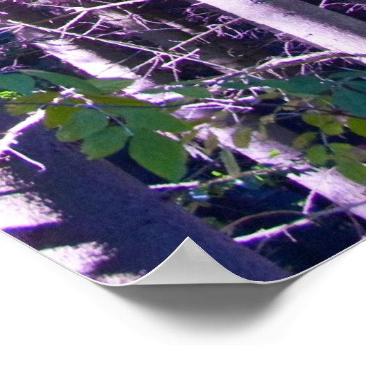 poster paarse bossen (Hoek)