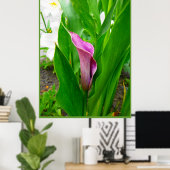 Poster Paarse Calla Lelie (Thuiskantoor)