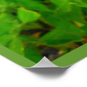 Poster Paarse Calla Lelie (Hoek)