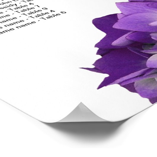 Poster Paarse hydrangeas (Hoek)