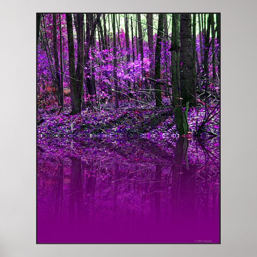 poster Paarse reflecties (Voorkant)