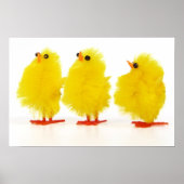 Poster paaskuikens (Voorkant)