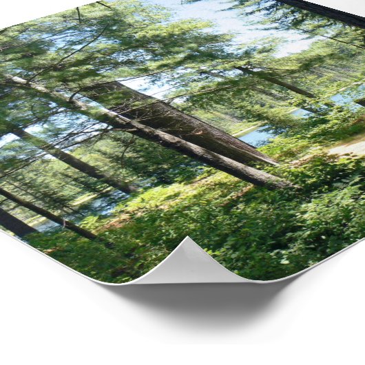 poster "Pad naar het meer" (Hoek)